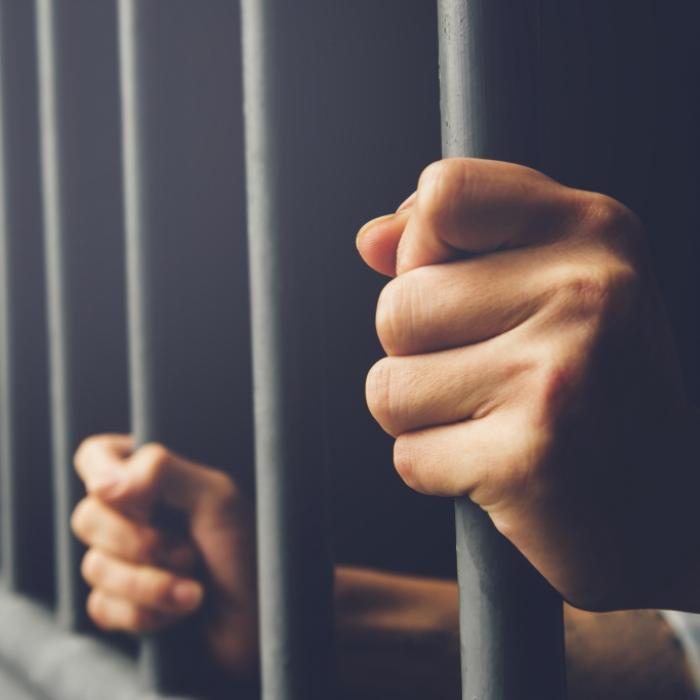 Touristin entführt und für 20 Tage in Hundekäfig gesperrt
