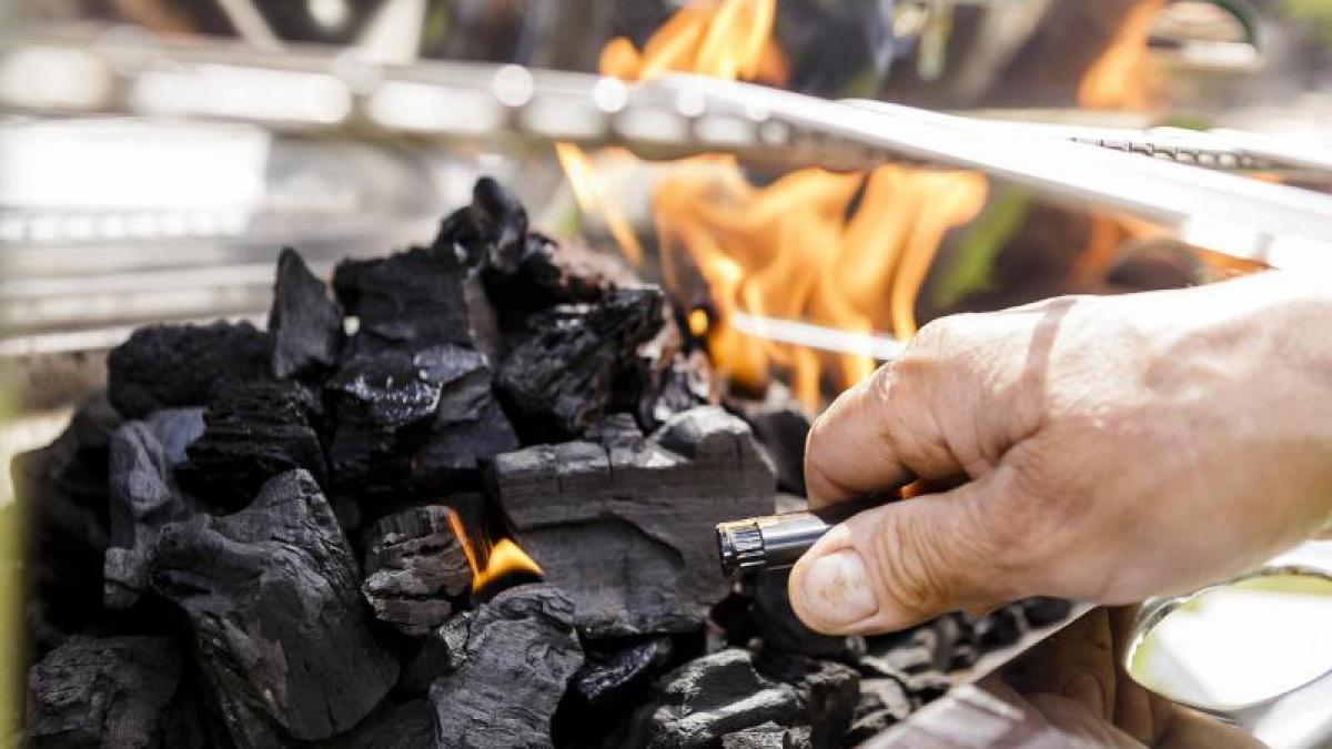 Holzkohle f&uuml;r den Grill stammt am besten von heimischen H&ouml;lzern und aus legaler Waldbewirtschaftung. (Foto)