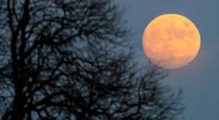 Bei der Mond-Diät hilft der Erdtrabant beim Abnehmen.