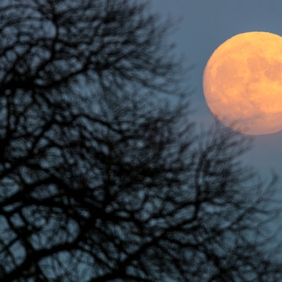 So lassen Sie die Pfunde mit der Mond-Diät purzeln