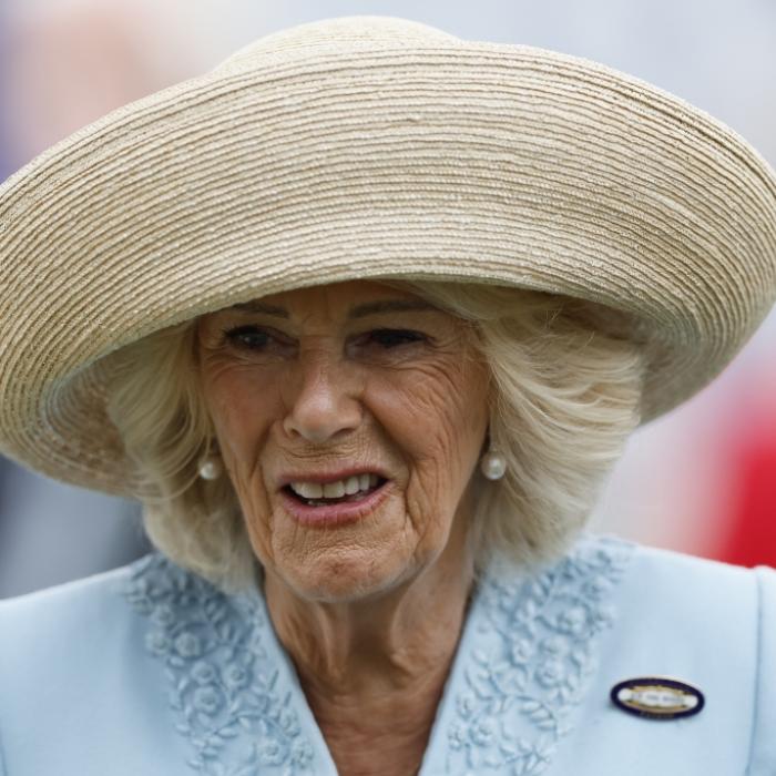 Insider enthüllt Übergriff - Camilla attackierte Angreifer