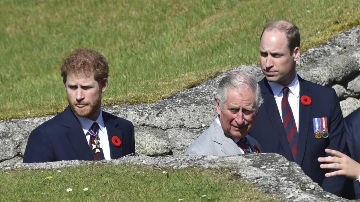 Prinz Harry, K&ouml;nig Charles und Prinz William im April 2017. (Foto)