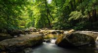 Im Harz soll sich ein 