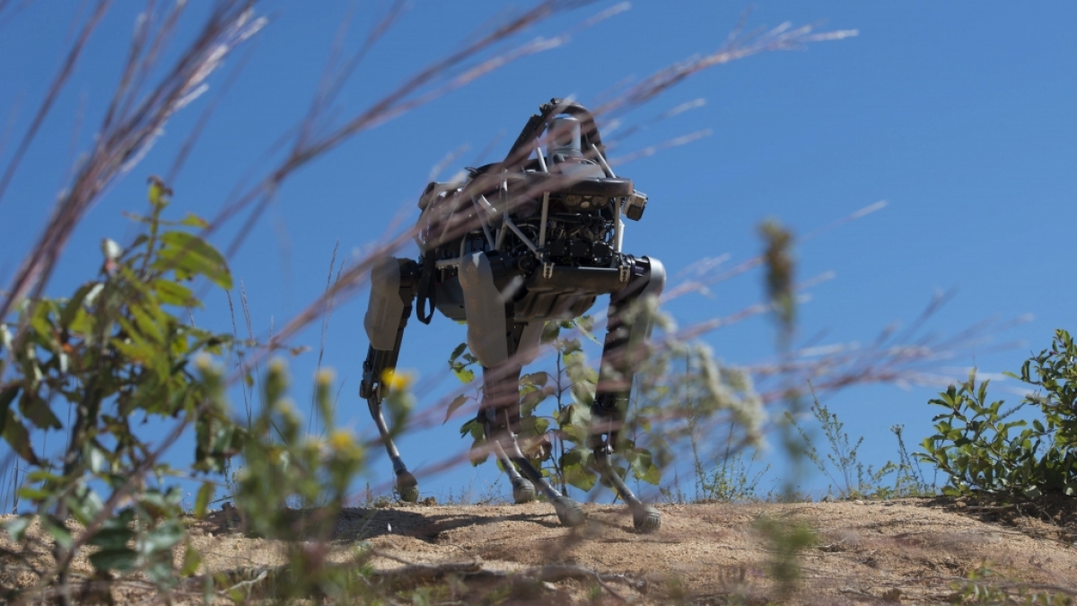Der vierbeinige Roboter "Spot" wurde schon 2015 auf einer Basis der Marine Corps in den USA getestet. (Foto)