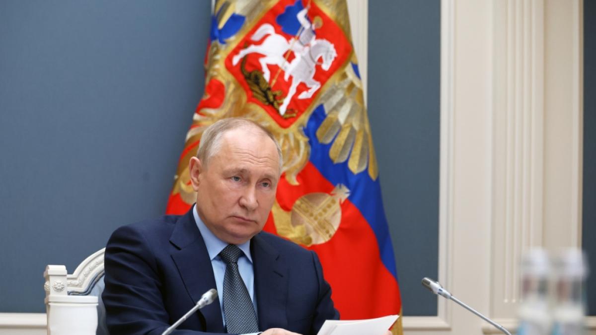 Zeigt dieses Foto tats&auml;chlich den echten Wladimir Putin? (Foto)