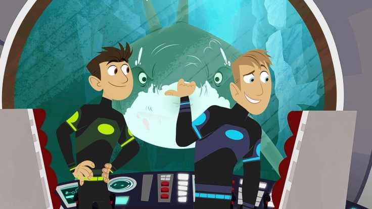 Go Wild Mission Wildnis Stream