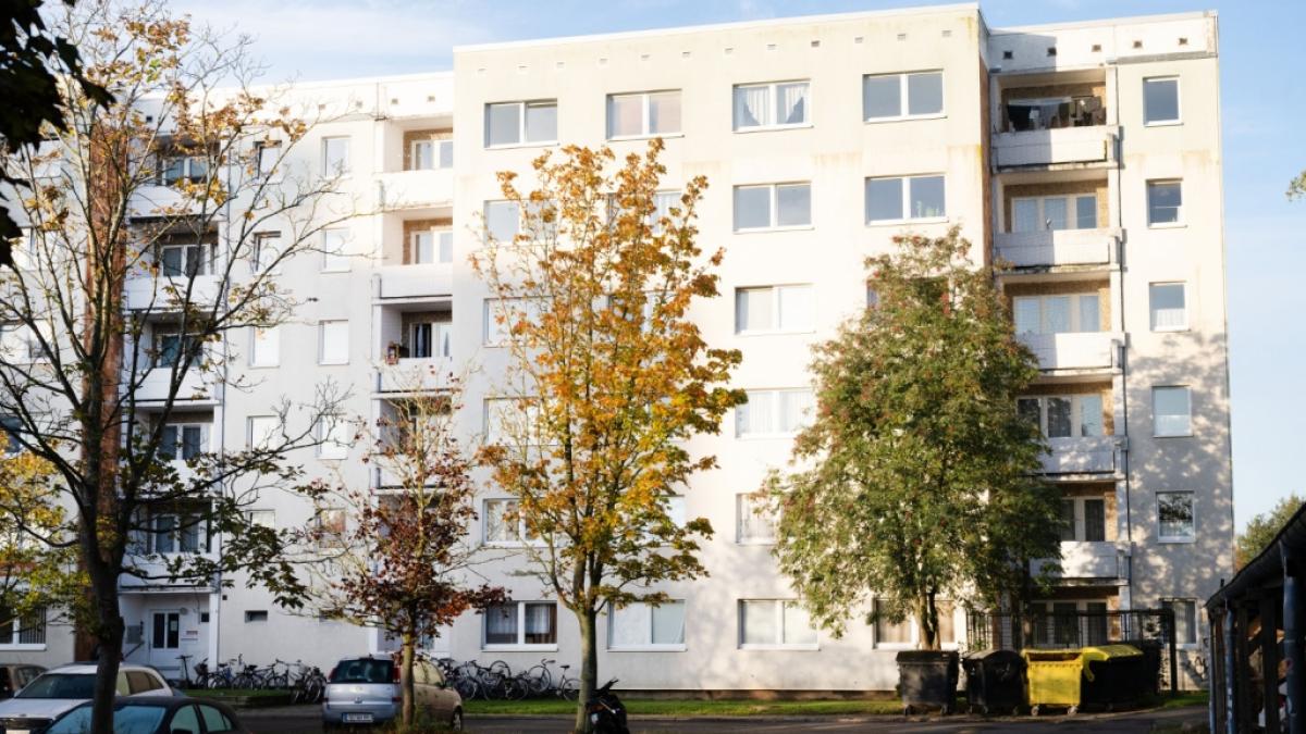 Nach dem Fund einer zerst&uuml;ckelten M&auml;nnerleiche in einer Greifswalder Wohnung sind zwei Tatverd&auml;chtige festgenommen worden. (Foto)