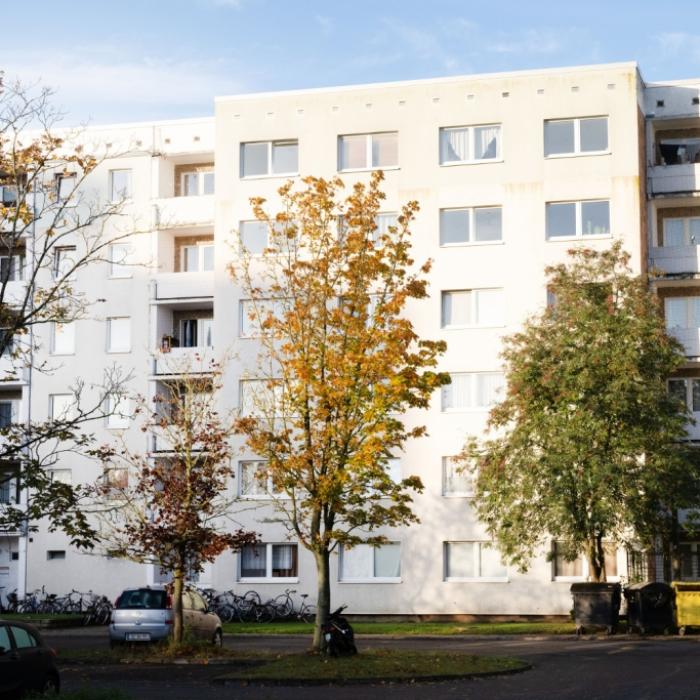 Zerstückelter Mann wahrscheinlich 38 und ein Bekannter der Verdächtigen