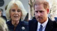 Auf ein Wiedersehen mit ihrem Stiefsohn Prinz Harry dürfte Königin Camilla keine sonderlich große Lust haben.