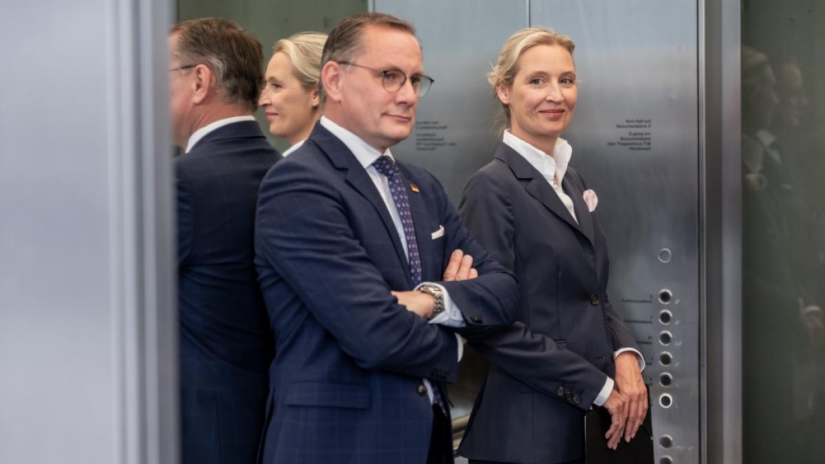 Sie d&uuml;rfen sich freuen:&nbsp;Tino Chrupalla (l), AfD-Bundesvorsitzender und Fraktionsvorsitzender der AfD, und Alice Weidel, Fraktionsvorsitzende der AfD, bekommen eine satte Gehaltserh&ouml;hung. (Foto)