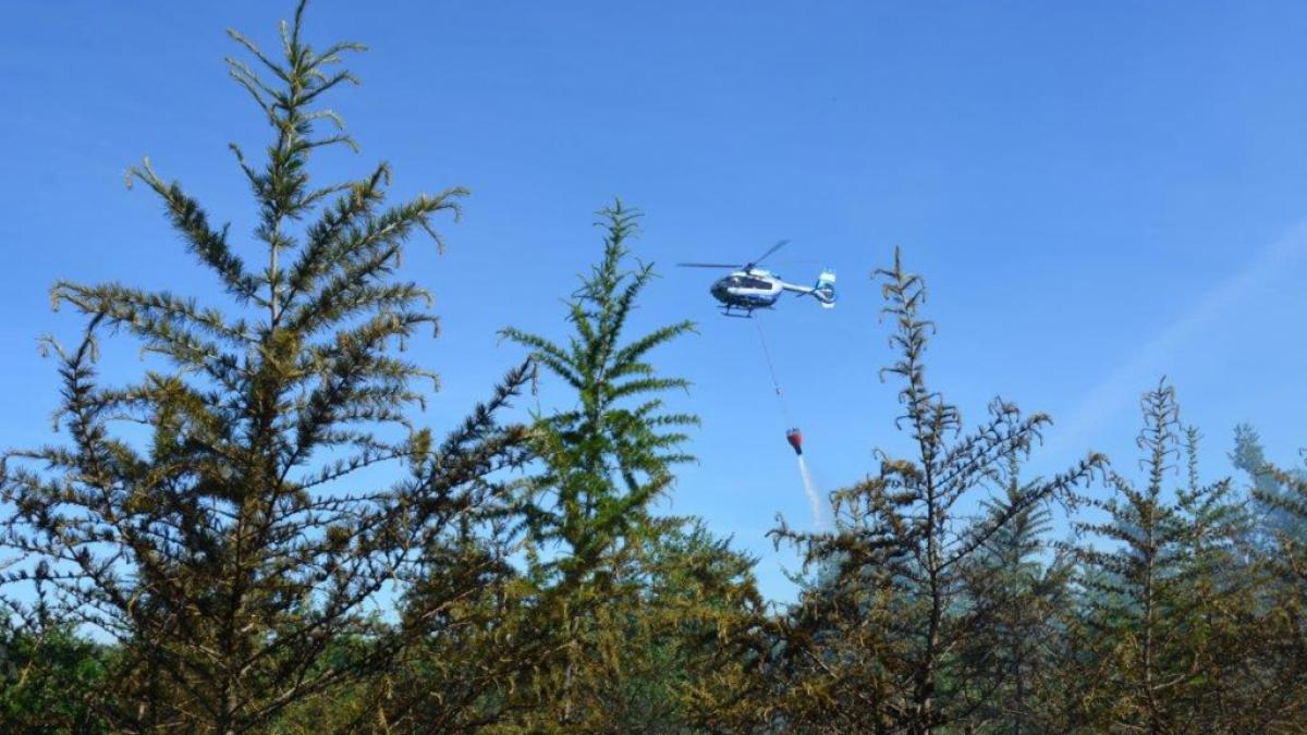 Die Feuerwehr k&auml;mpft im Harz gegen einen Waldbrand. (Foto)