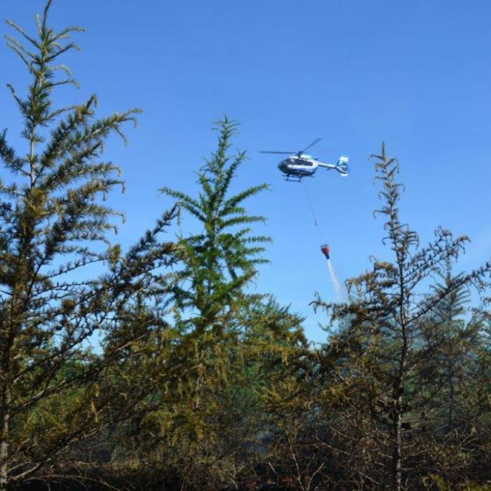Fläche von 7 Fußballfeldern in Flammen! Ein Hubschrauber am Brocken im Einsatz