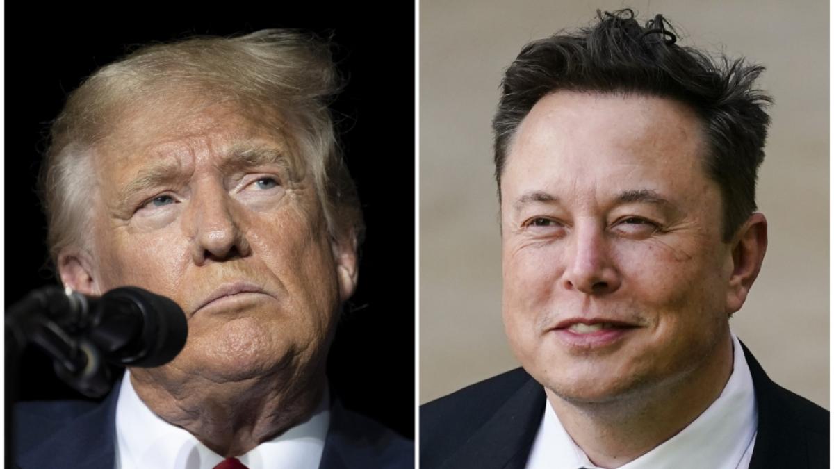 Donald Trump wurde in einem Audio-Stream von Tech-Milliard&auml;r Elon Musk interviewt. (Foto)