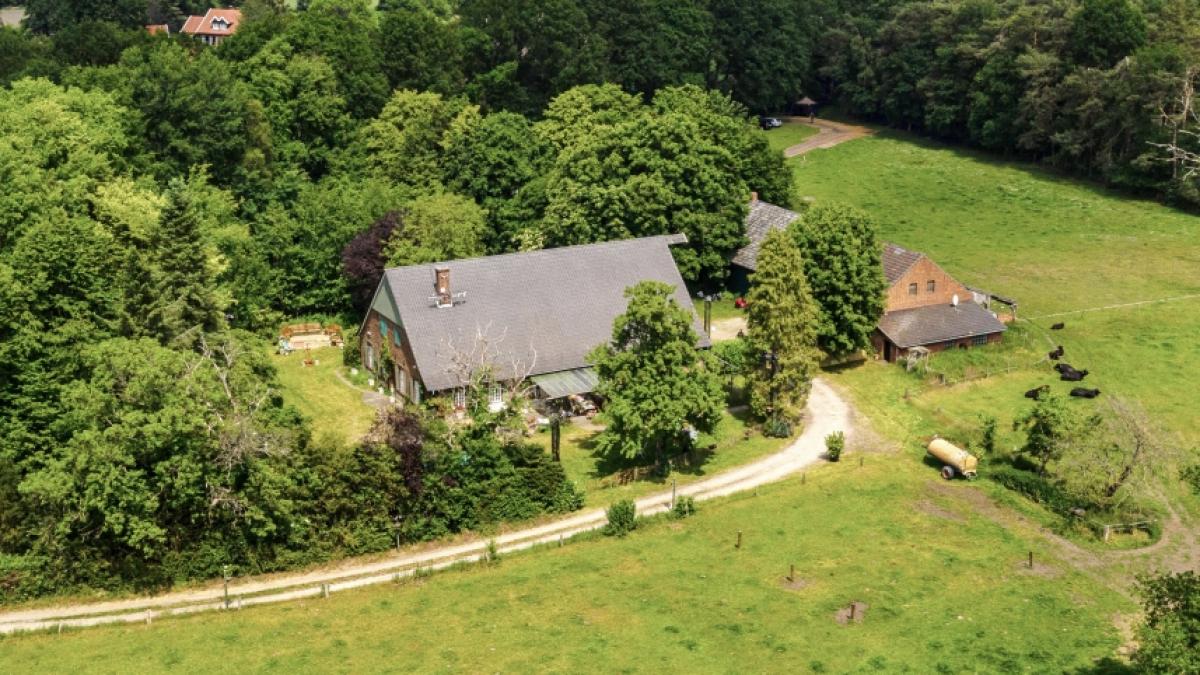 Im RTL-Sommerhaus flogen auch dieses Jahr wieder ordentlich die Fetzen. (Foto)