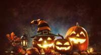 Schaurig schöne Kürbisse an Halloween.