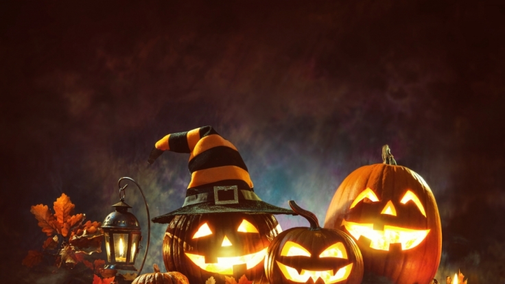 Schaurig schöne Kürbisse an Halloween.