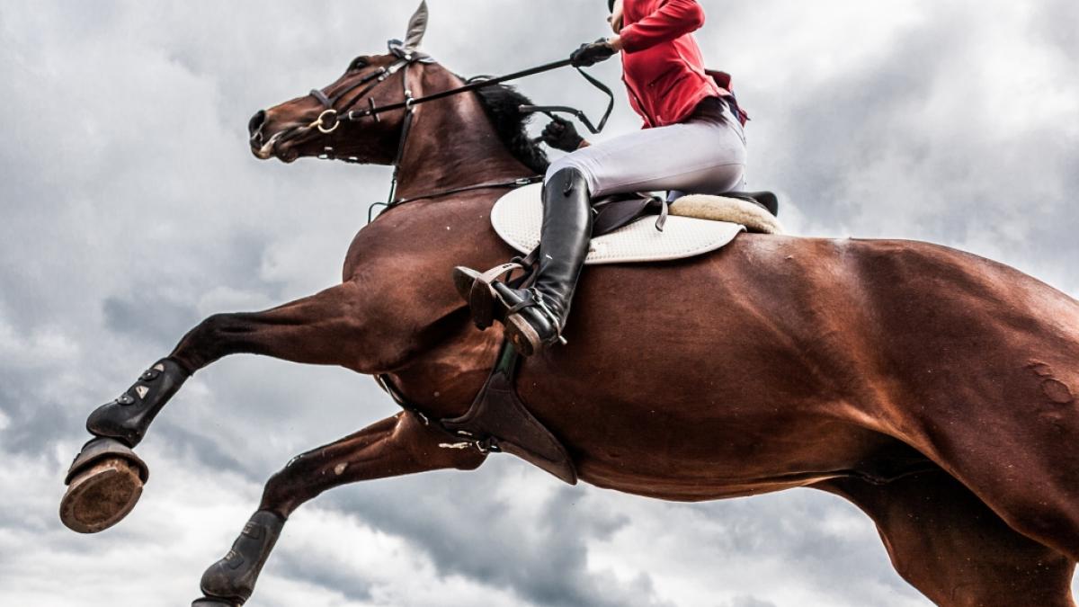 Der fr&uuml;here Jockey Tom Greenway ist mit nur 38 Jahren gestorben (Symbolbild). (Foto)