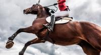 Der frühere Jockey Tom Greenway ist mit nur 38 Jahren gestorben (Symbolbild).