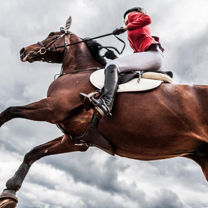 Er war erst 38! Spring-Jockey stirbt aus ungeklärter Ursache