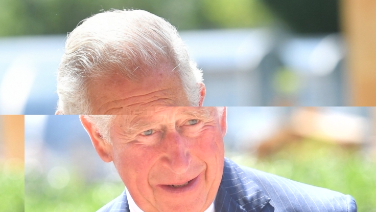 Prinz Charles will die britisches Monarchie umkrempeln.