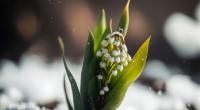 Müssen wir uns auf Schnee bis in den Mai rechnen?