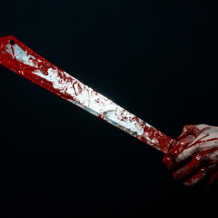 Ihr Bauch war aufgeschlitzt! 33-Jähriger metzelt Frau mit Machete nieder