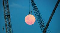 Im April erwartet uns ein pinkfarbener Vollmond.
