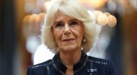 Prinz Harry lässt kein gutes Haar an Stiefmutter Camilla.