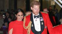Alle Hinweise über Meghan Markles und Prinz Harrys animierte Netflix-Serie sind von ihrer Archewell-Webseite verschwunden.