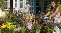 Blumen und Gemüsepflanzen sorgen für einen kunterbunten Blütensommer.