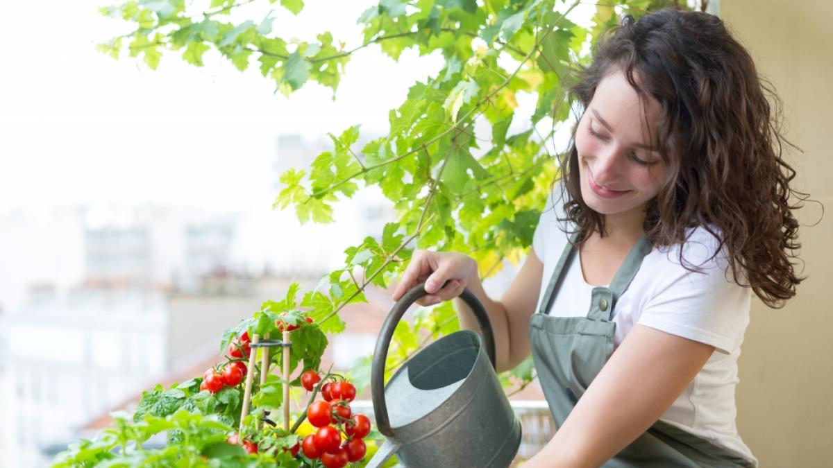 Auch auf dem Balkon kann man jede Menge Obst und Gem&uuml;se anbauen. (Foto)