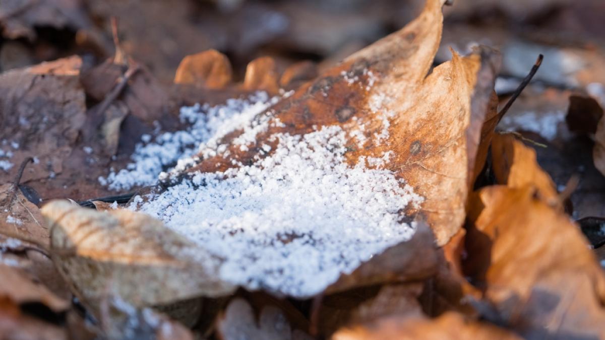 Kommt der Winter im Februar zur&uuml;ck nach Deutschland? (Foto)