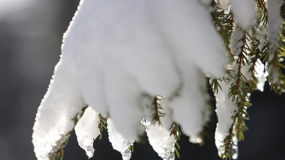 Ist der Winter nun vorbei? (Foto)