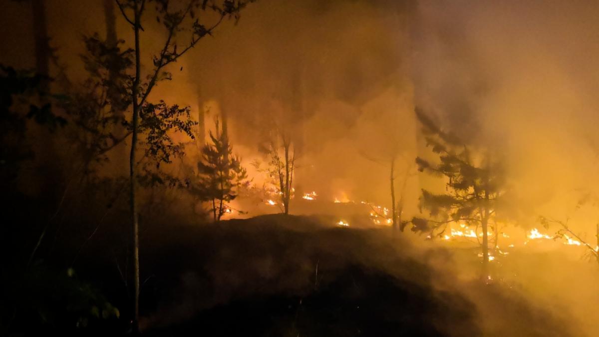 Wie verh&auml;lt man sich im Fall von Waldbr&auml;nden richtig - und welche Strafen und Bu&szlig;gelder drohen bei Brandstiftung? (Foto)