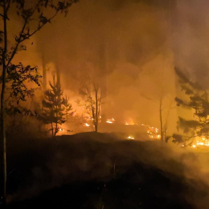 Diese Strafen und Bußgelder drohen Brandstiftern im Wald
