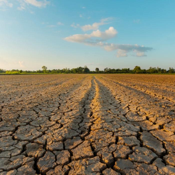 Gefürchtete Omega-Wetterlage! Experte warnt vor extremer Dürre