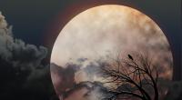 Im März können Astronomiefans einen düsteren Krähenmond am Himmel sehen.
