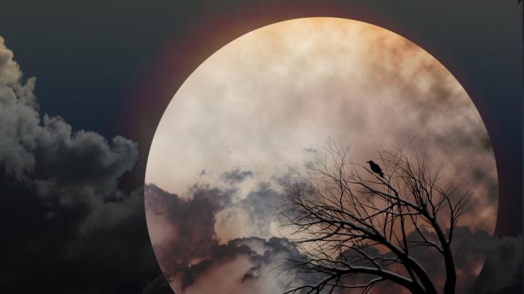 Im März können Astronomiefans einen düsteren Krähenmond am Himmel sehen.