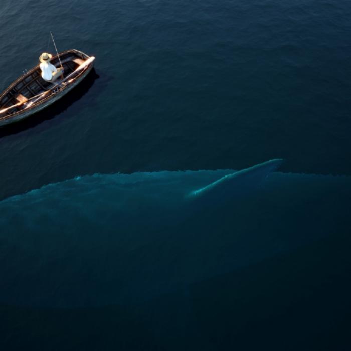 Video zeigt gigantischen Hai! Schwimmt da etwa ein Megalodon?