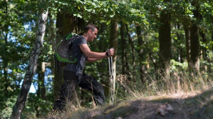 Wanderurlaub am besten mit Impfung: 2019 sind in Deutschland vermutlich besonders viele Zecken unterwegs.