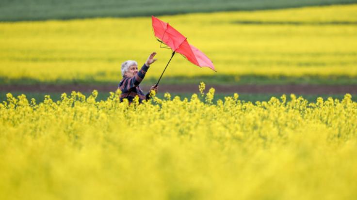Trotz milder Temperaturen ist die Sturmgefahr in Deutschland noch nicht gebannt.