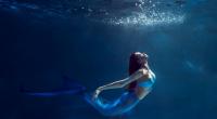 Ein junger Mann fand an einem Strand angeblich das Skelett einer Meerjungfrau. Die Aufnahmen der Kreatur sorgen für Entsetzen