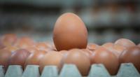 Eier sind extrem reich an Eiweiß - das können Sie zu bestimmten Zeiten zu Ihrem Vorteil nutzen.