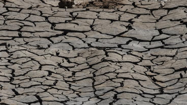 Nach den ersten richtig heißen Wochen des Jahres melden einige Ortschaften in Deutschland bereits erste Engpässe von Trinkwasser.