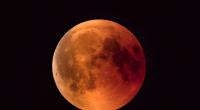 In dieser Woche dürfen sich Hobbyastronomen auf eine totale Mondfinsternis freuen.