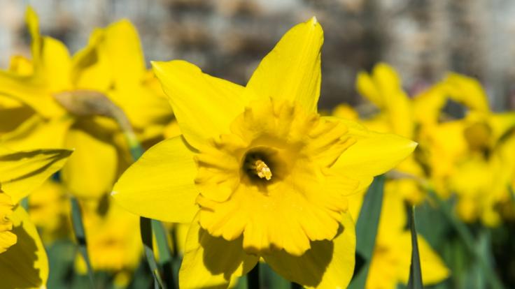 Ist es mit dem frühsommerlichen Wetter bald vorbei?