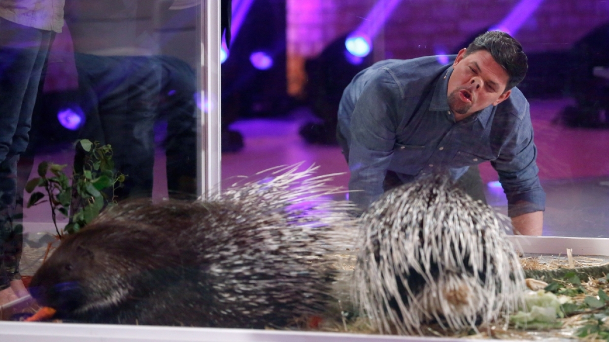 Tim M&auml;lzer bei "Wer wei&szlig; denn sowas XXL". (Foto)