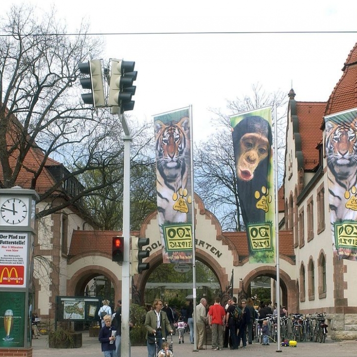 Wiederholung und Mediathek zur Sendung