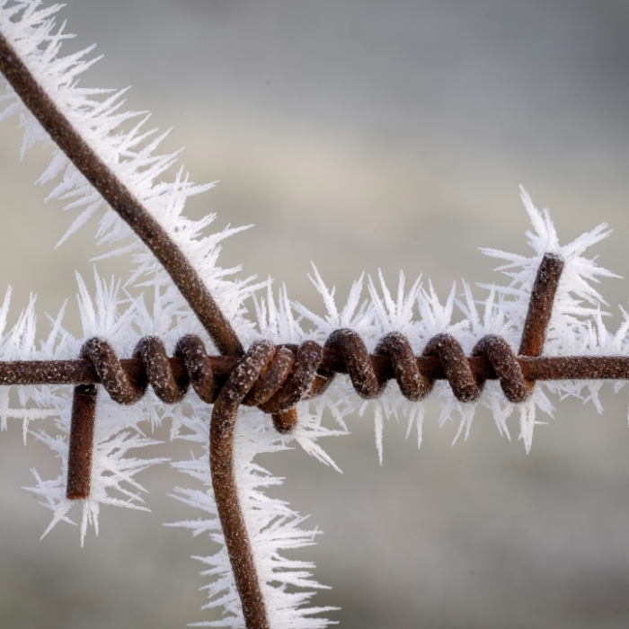 Sturmböen, Frost & Nebel - Diese Unwetter sind möglich