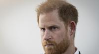Britisches Königshaus: Mit König-Charles-Treffen zerstört Prinz Harry sein Sicherheits-Argument